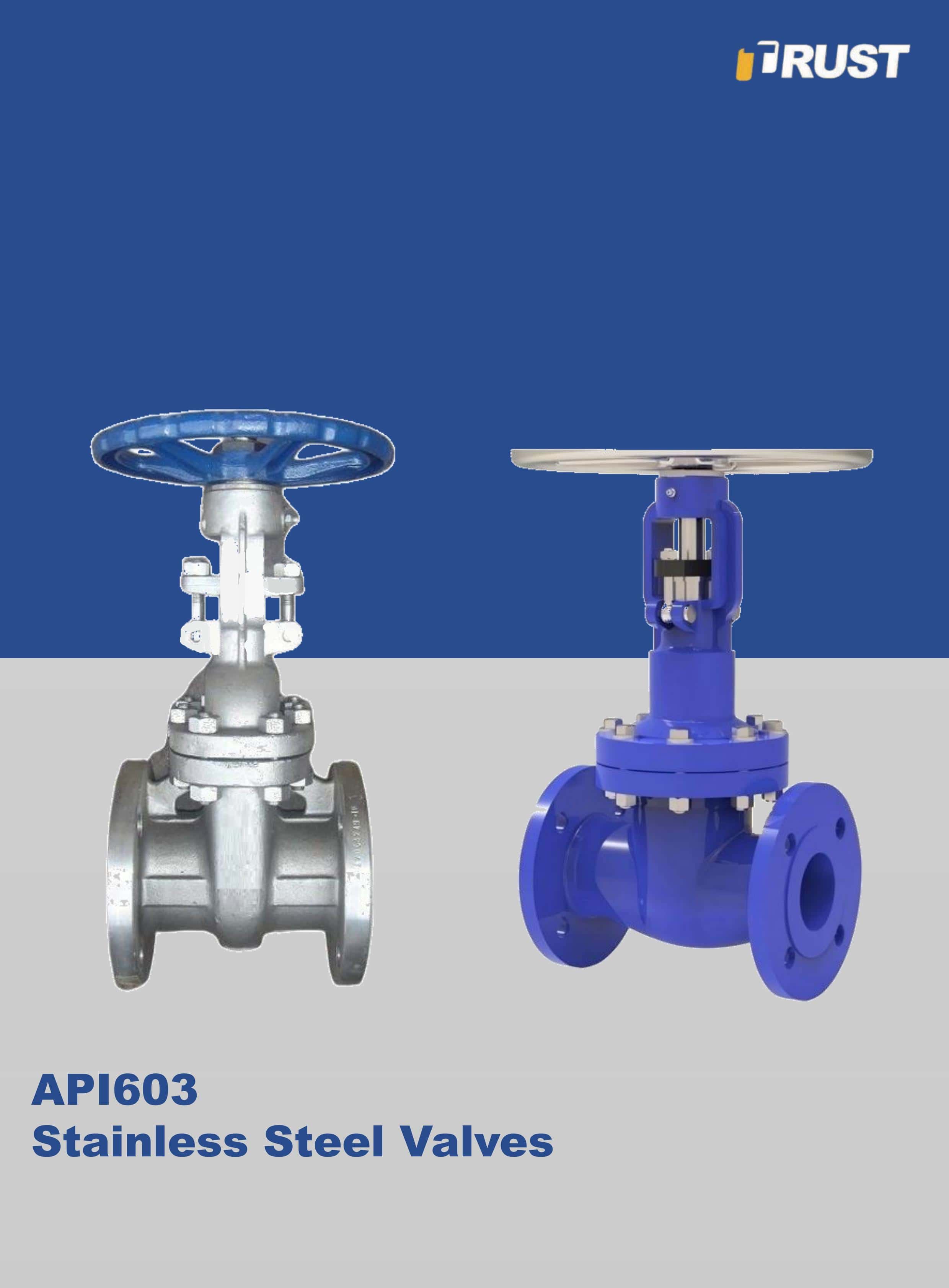 فولاذ مقاوم للصدأ الصمامات
