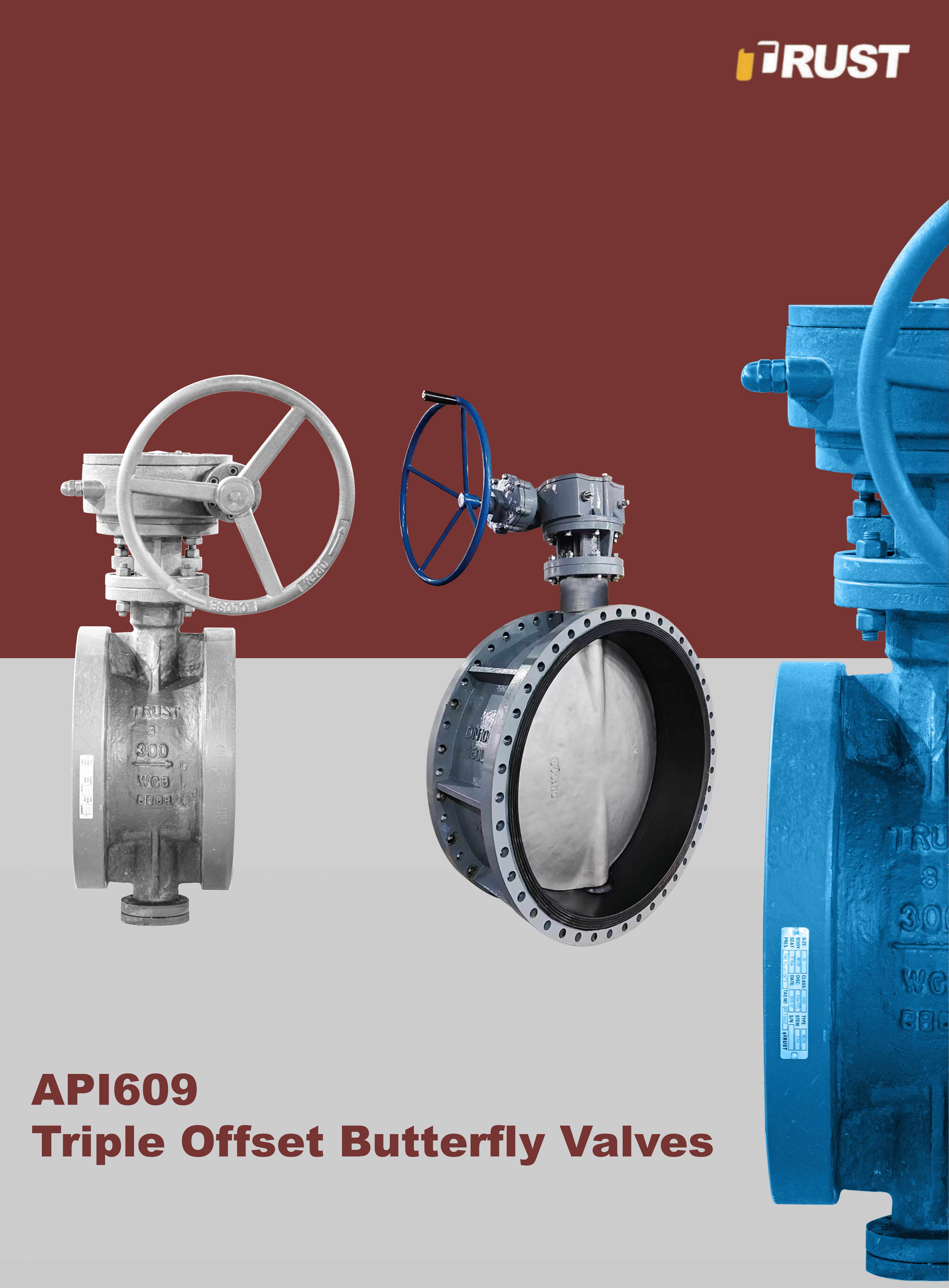 صمامات فراشة