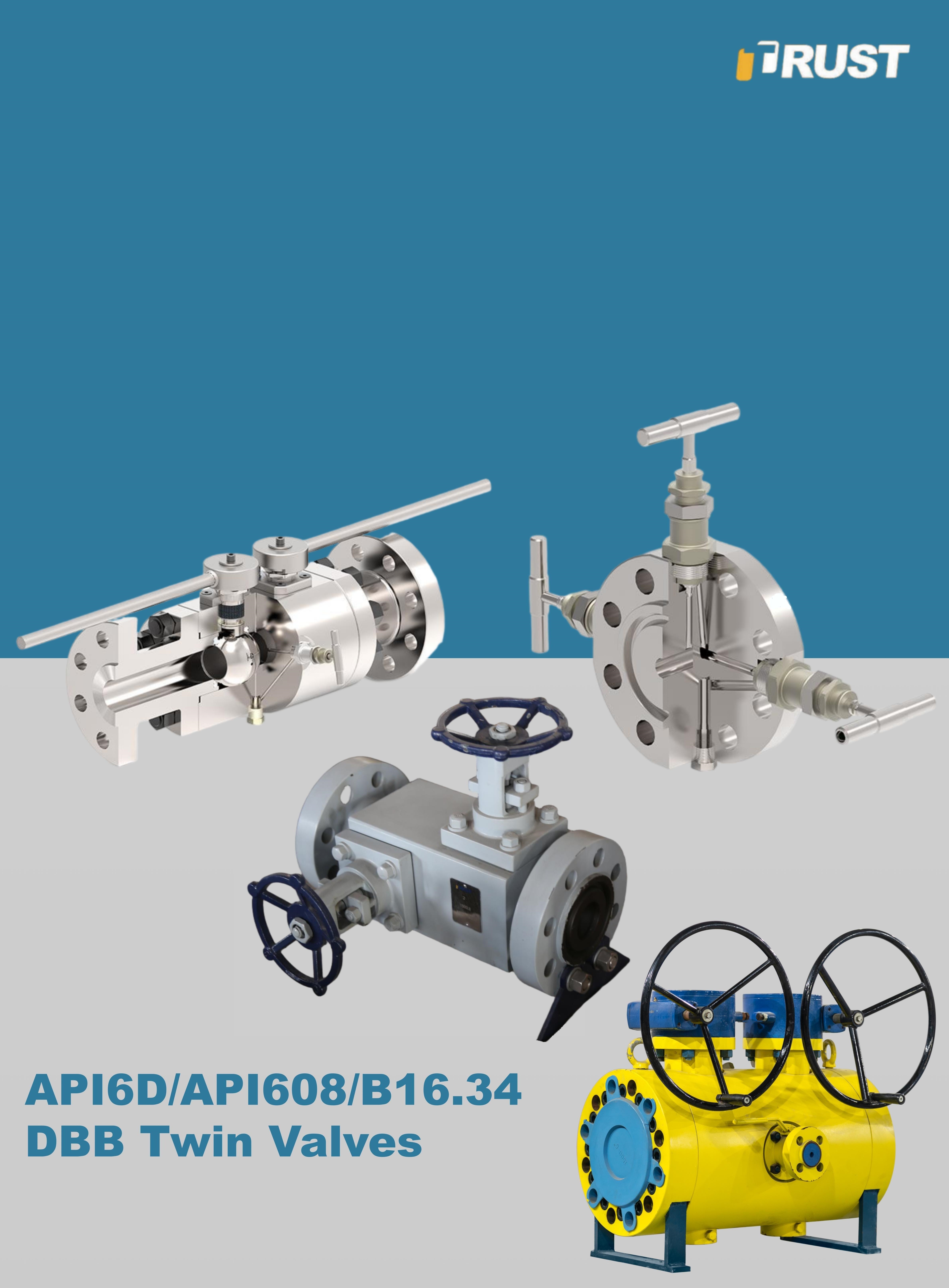 صمامات مزدوجة الكتلة والنزيف (DBB)