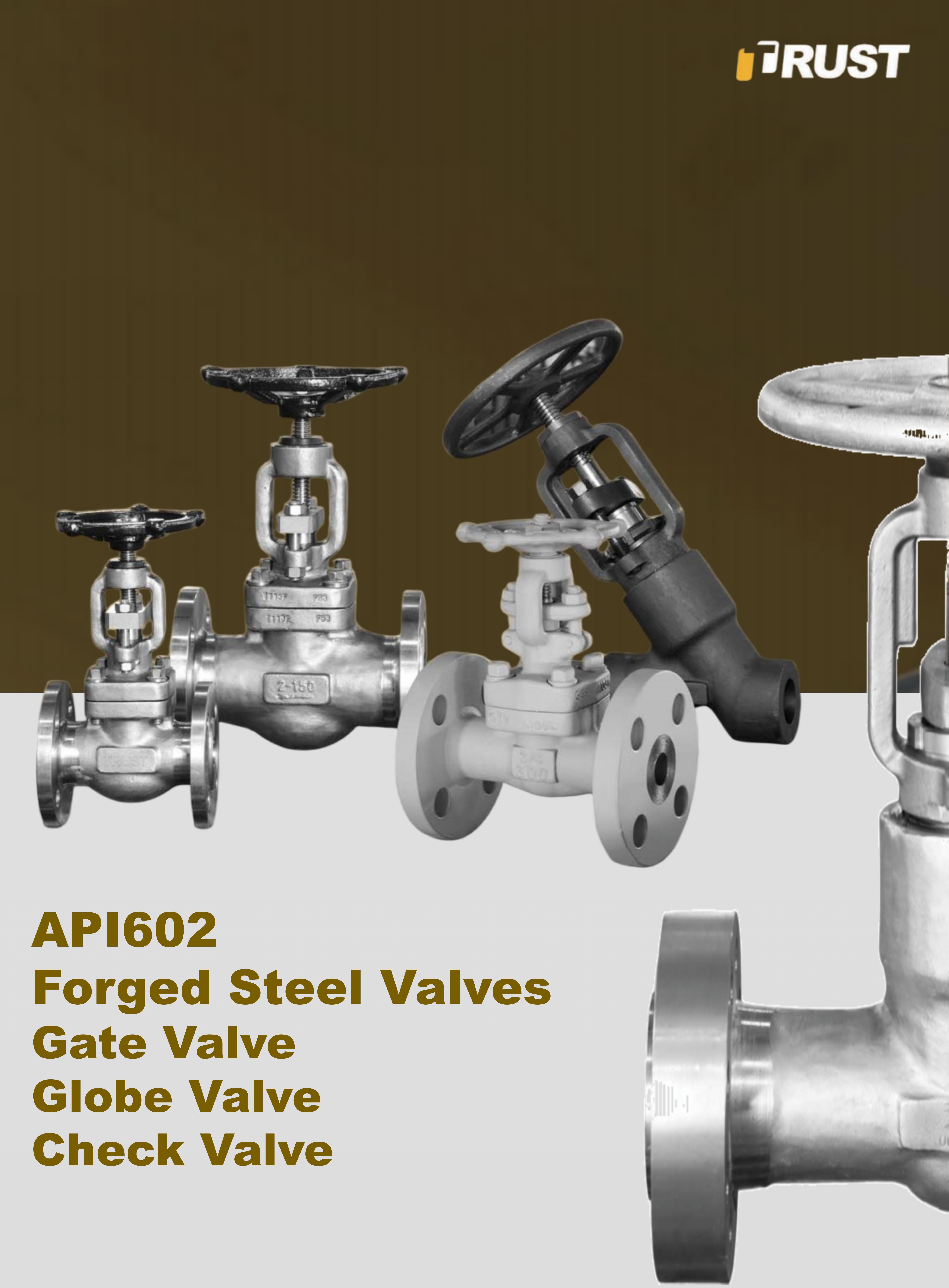 صمامات GGC من الفولاذ المطروق